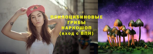 сатива Балабаново