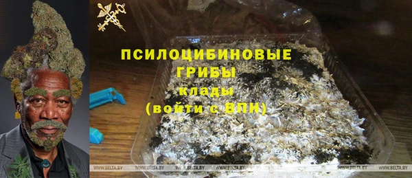круглые Белокуриха