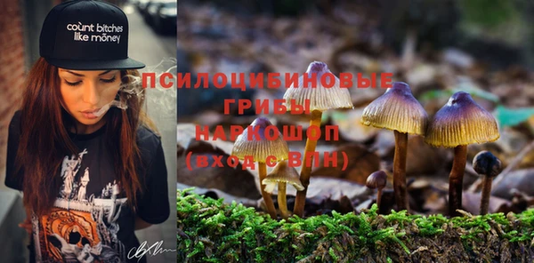 мдпв Беломорск