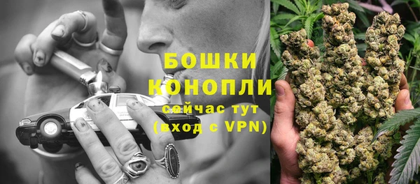 круглые Белокуриха