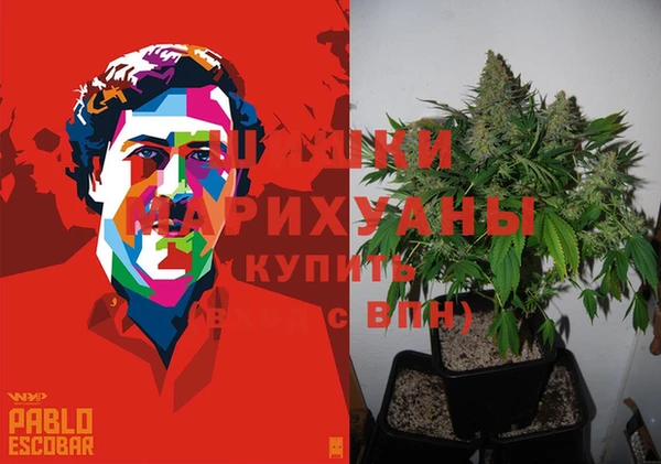 дмт Аркадак