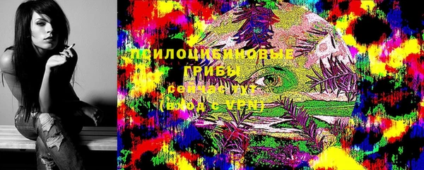 крисы Арсеньев