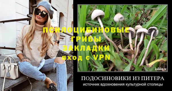 дмт Аркадак