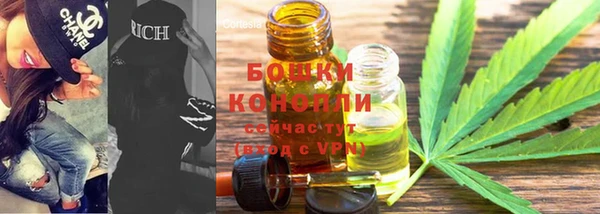 крисы Арсеньев